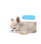 Loveの日常（個別スタンプ：16）