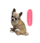 Loveの日常（個別スタンプ：22）