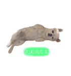 Loveの日常（個別スタンプ：29）