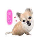 Loveの日常（個別スタンプ：32）
