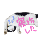 のりおひぐち（個別スタンプ：2）