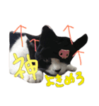 のりおひぐち（個別スタンプ：3）