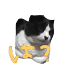 のりおひぐち（個別スタンプ：6）