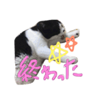 のりおひぐち（個別スタンプ：10）