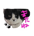 のりおひぐち（個別スタンプ：16）