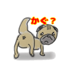 手描きパグ（個別スタンプ：1）