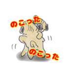 手描きパグ（個別スタンプ：2）