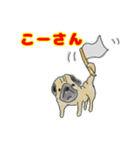 手描きパグ（個別スタンプ：3）