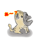 手描きパグ（個別スタンプ：5）