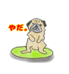 手描きパグ（個別スタンプ：8）