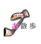 日常stamp‼︎（個別スタンプ：11）