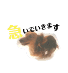 日常stamp‼︎（個別スタンプ：21）