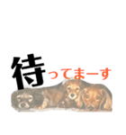 日常stamp‼︎（個別スタンプ：22）