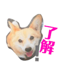 日常stamp‼︎（個別スタンプ：27）