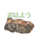 日常stamp‼︎（個別スタンプ：29）