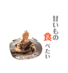 日常stamp‼︎（個別スタンプ：38）