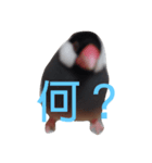 鳥は可愛いよ（個別スタンプ：1）