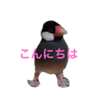 鳥は可愛いよ（個別スタンプ：7）