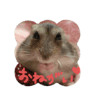 かわいいハムちゃんのちびところん（個別スタンプ：4）