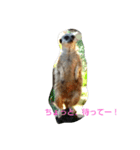 平和な動物たち（個別スタンプ：1）