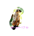 平和な動物たち（個別スタンプ：2）