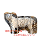 平和な動物たち（個別スタンプ：4）