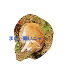 平和な動物たち（個別スタンプ：6）