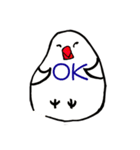 文鳥さんスタンプ（個別スタンプ：1）