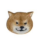 柴犬と三毛（個別スタンプ：3）