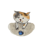 柴犬と三毛（個別スタンプ：7）