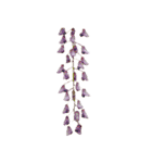 ポンッとするだけflowers（個別スタンプ：4）