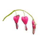 ポンッとするだけflowers（個別スタンプ：9）