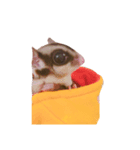 フクロモモンガくん（個別スタンプ：6）