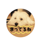 ナイトのスタンプ（個別スタンプ：3）