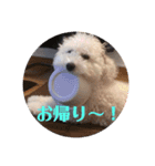 ナイトのスタンプ（個別スタンプ：6）