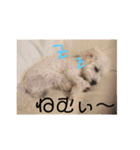 ナイトのスタンプ（個別スタンプ：8）