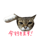 くうちゃんコロちゃん2（個別スタンプ：18）