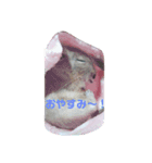 デグーのグゥちゃん（個別スタンプ：2）