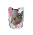 デグーのグゥちゃん（個別スタンプ：5）