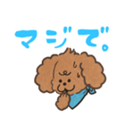 あるふわふわした犬のスタンプ（個別スタンプ：10）