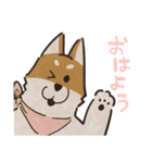 あるふわふわした犬のスタンプ（個別スタンプ：37）