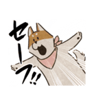 あるふわふわした犬のスタンプ（個別スタンプ：38）