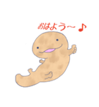 オオサンショウウオさんスタンプ（個別スタンプ：2）