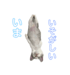 わがやの（個別スタンプ：8）