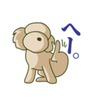 お犬様のトイプードル（個別スタンプ：8）