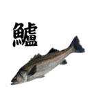 いとつり 魚拓スタンプ（個別スタンプ：5）