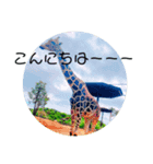 いろいろなんでも（個別スタンプ：5）