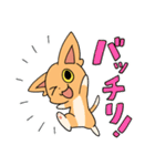 描猫（個別スタンプ：12）