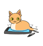 描猫（個別スタンプ：36）