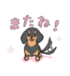 黒ダックス（個別スタンプ：4）
